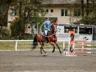 © Niki Buchegger, turnier-fotos.at