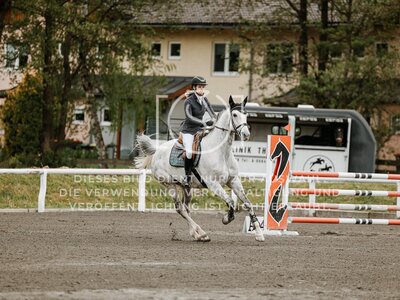 © Niki Buchegger, turnier-fotos.at
