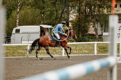 © Niki Buchegger, turnier-fotos.at