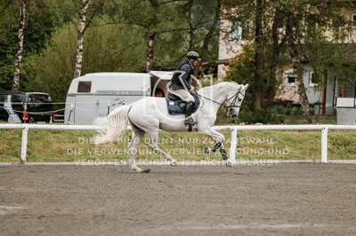 © Niki Buchegger, turnier-fotos.at
