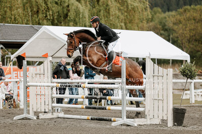 © Niki Buchegger, turnier-fotos.at