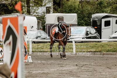 © Niki Buchegger, turnier-fotos.at