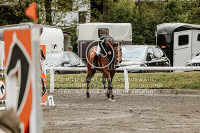 © Niki Buchegger, turnier-fotos.at