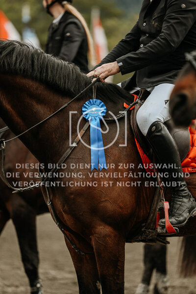 © Niki Buchegger, turnier-fotos.at