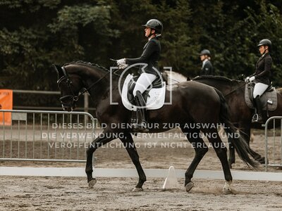 © Niki Buchegger, turnier-fotos.at