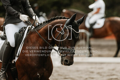 © Niki Buchegger, turnier-fotos.at