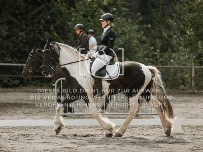 © Niki Buchegger, turnier-fotos.at