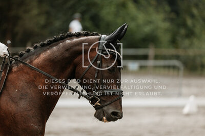 © Niki Buchegger, turnier-fotos.at
