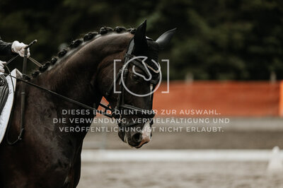 © Niki Buchegger, turnier-fotos.at