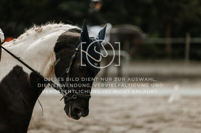 © Niki Buchegger, turnier-fotos.at