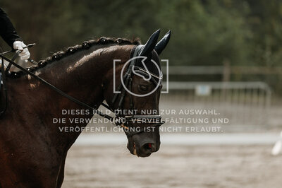 © Niki Buchegger, turnier-fotos.at