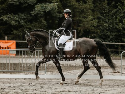 © Niki Buchegger, turnier-fotos.at