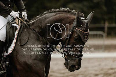 © Niki Buchegger, turnier-fotos.at