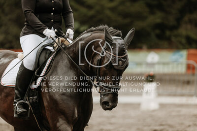 © Niki Buchegger, turnier-fotos.at