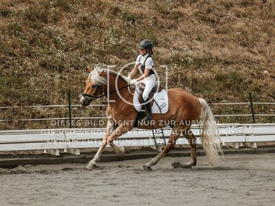 © Niki Buchegger, turnier-fotos.at