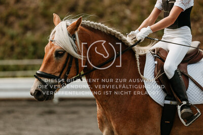 © Niki Buchegger, turnier-fotos.at