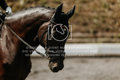 © Niki Buchegger, turnier-fotos.at
