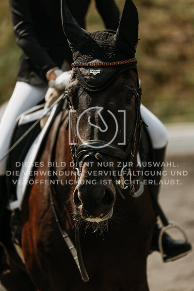 © Niki Buchegger, turnier-fotos.at