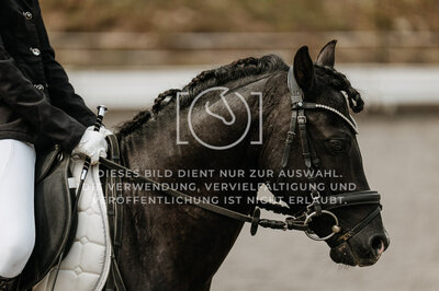© Niki Buchegger, turnier-fotos.at