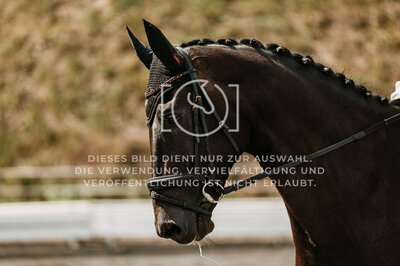 © Niki Buchegger, turnier-fotos.at