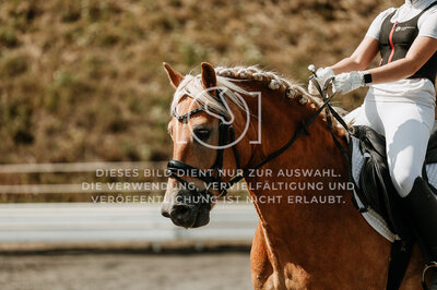© Niki Buchegger, turnier-fotos.at