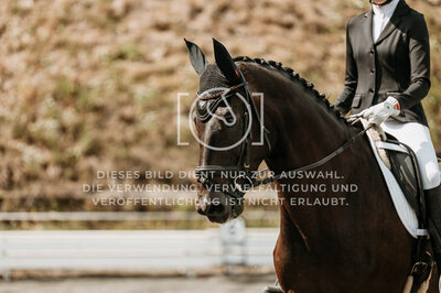 © Niki Buchegger, turnier-fotos.at