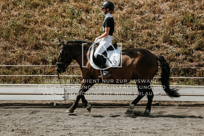 © Niki Buchegger, turnier-fotos.at