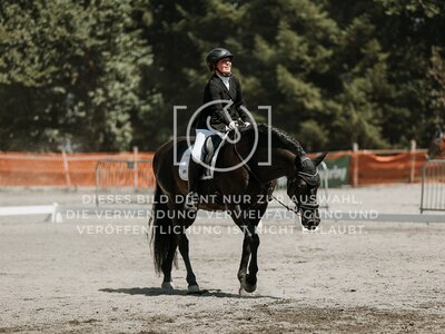 © Niki Buchegger, turnier-fotos.at