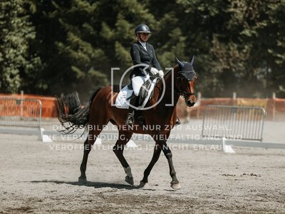 © Niki Buchegger, turnier-fotos.at