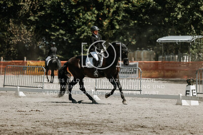 © Niki Buchegger, turnier-fotos.at