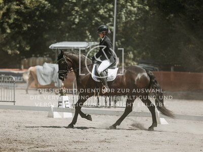 © Niki Buchegger, turnier-fotos.at
