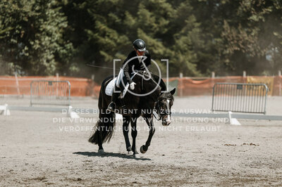 © Niki Buchegger, turnier-fotos.at