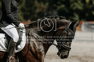 © Niki Buchegger, turnier-fotos.at