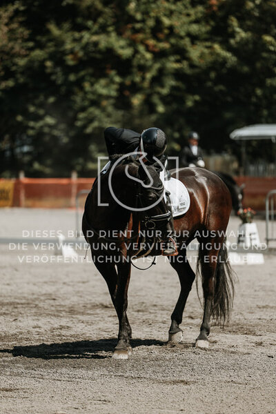 © Niki Buchegger, turnier-fotos.at
