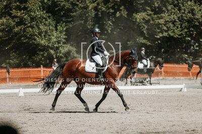 © Niki Buchegger, turnier-fotos.at