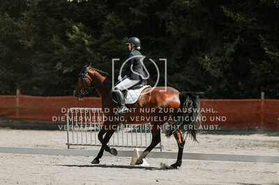 © Niki Buchegger, turnier-fotos.at