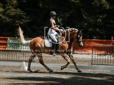 © Niki Buchegger, turnier-fotos.at