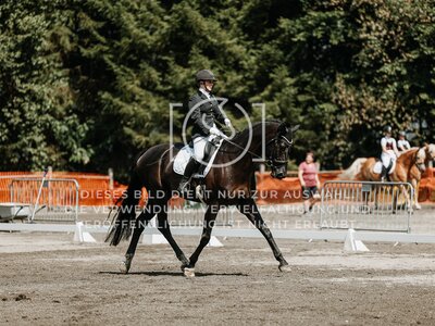 © Niki Buchegger, turnier-fotos.at