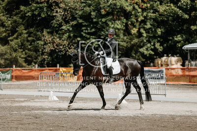 © Niki Buchegger, turnier-fotos.at