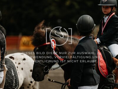 © Niki Buchegger, turnier-fotos.at