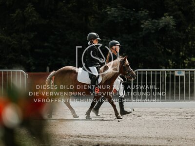 © Niki Buchegger, turnier-fotos.at