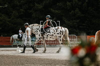 © Niki Buchegger, turnier-fotos.at