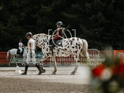 © Niki Buchegger, turnier-fotos.at