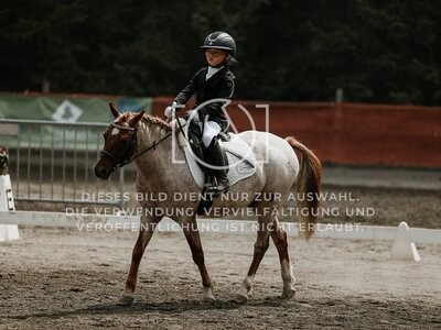 © Niki Buchegger, turnier-fotos.at