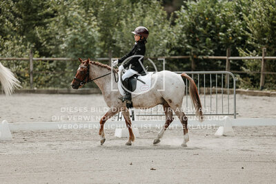 © Niki Buchegger, turnier-fotos.at