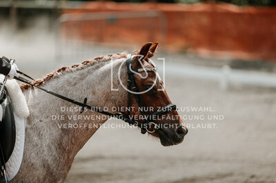 © Niki Buchegger, turnier-fotos.at