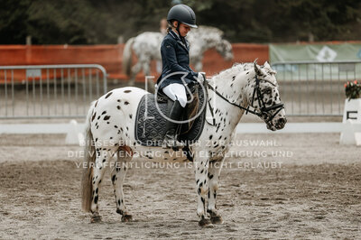 © Niki Buchegger, turnier-fotos.at