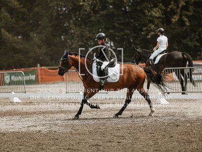 © Niki Buchegger, turnier-fotos.at