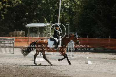 © Niki Buchegger, turnier-fotos.at