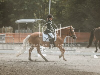 © Niki Buchegger, turnier-fotos.at